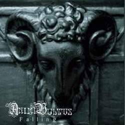 Animi Vultus : Falling Animi Vultus : Falling